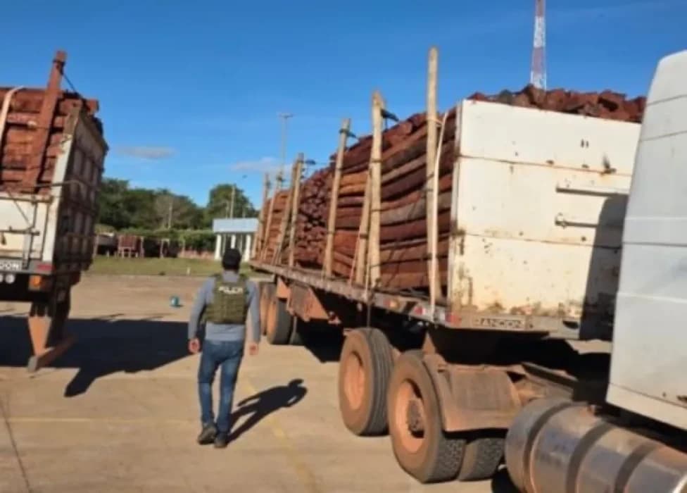 REFUERZAN OPERATIVOS CONTRA EL TRÁFICO DE MADERA EN FRONTERA CON BRASIL