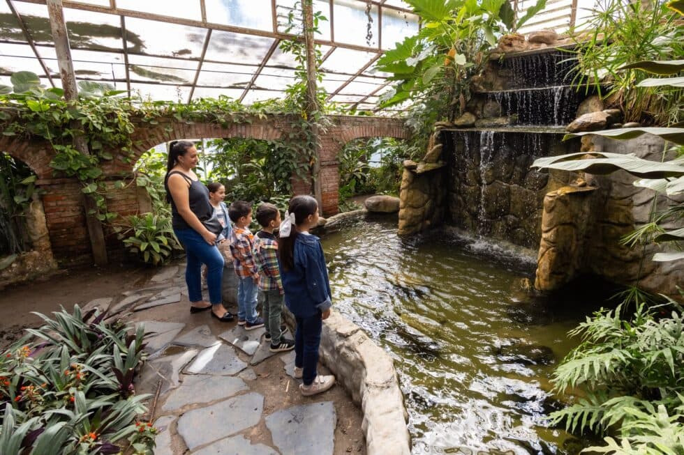 JARDÍN BOTÁNICO INVITA A DISFRUTAR LAS VACACIONES EN CONTACTO CON LA NATURALEZA