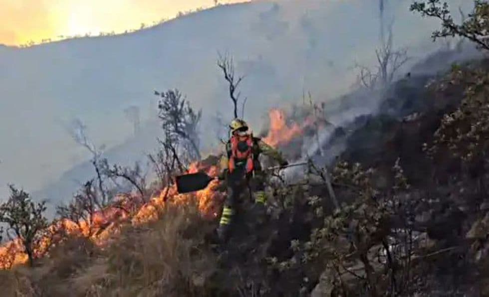 MINISTRO DE DEFENSA SOBREVUELA ZONA DEL INCENDIO EN TARIJA