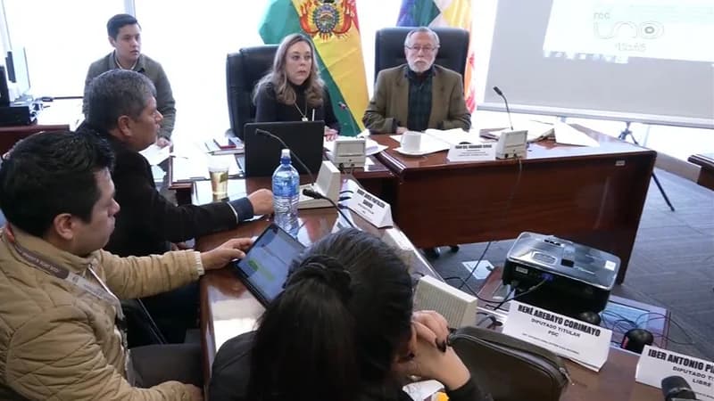 DIPUTADOS APRUEBAN LEY PARA REACTIVAR ELECCIÓN DE MAGISTRADOS DEL TCP Y TSJ