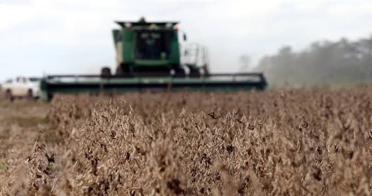 ANAPO ALERTA POR FALTA DE COMBUSTIBLE PARA LA COSECHA DE INVIERNO EN SANTA CRUZ