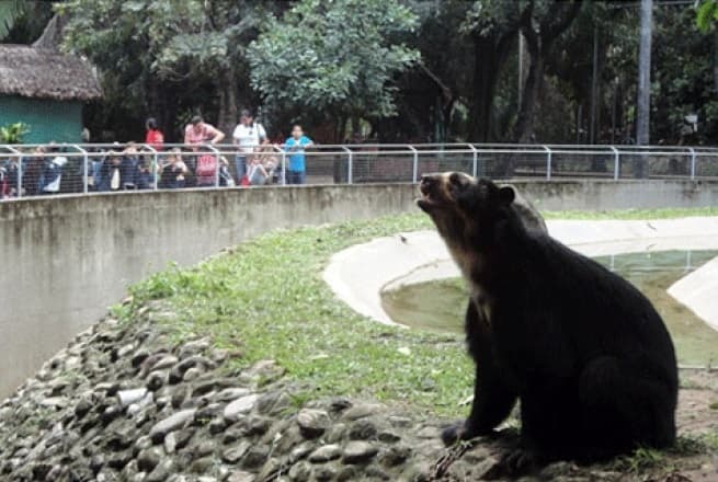ZOOLÓGICO MUNICIPAL CERRARÁ ESTE LUNES PARA EL DESCANSO Y BIENESTAR DE LOS ANIMALES