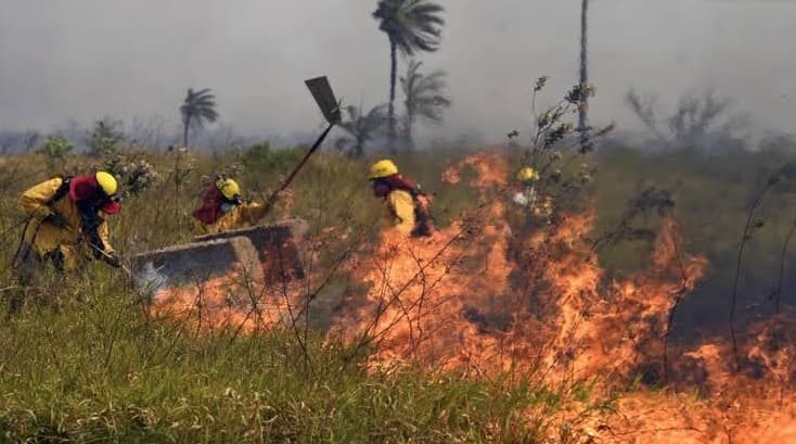 INCENDIO EN OTUQUIS MOVILIZA BRIGADAS PARA FRENAR AVANCE DEL FUEGO