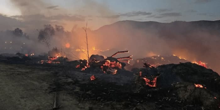 TARIJA DECLARA EMERGENCIA POR INCENDIOS QUE YA DEJARON 8.000 HECTÁREAS AFECTADAS