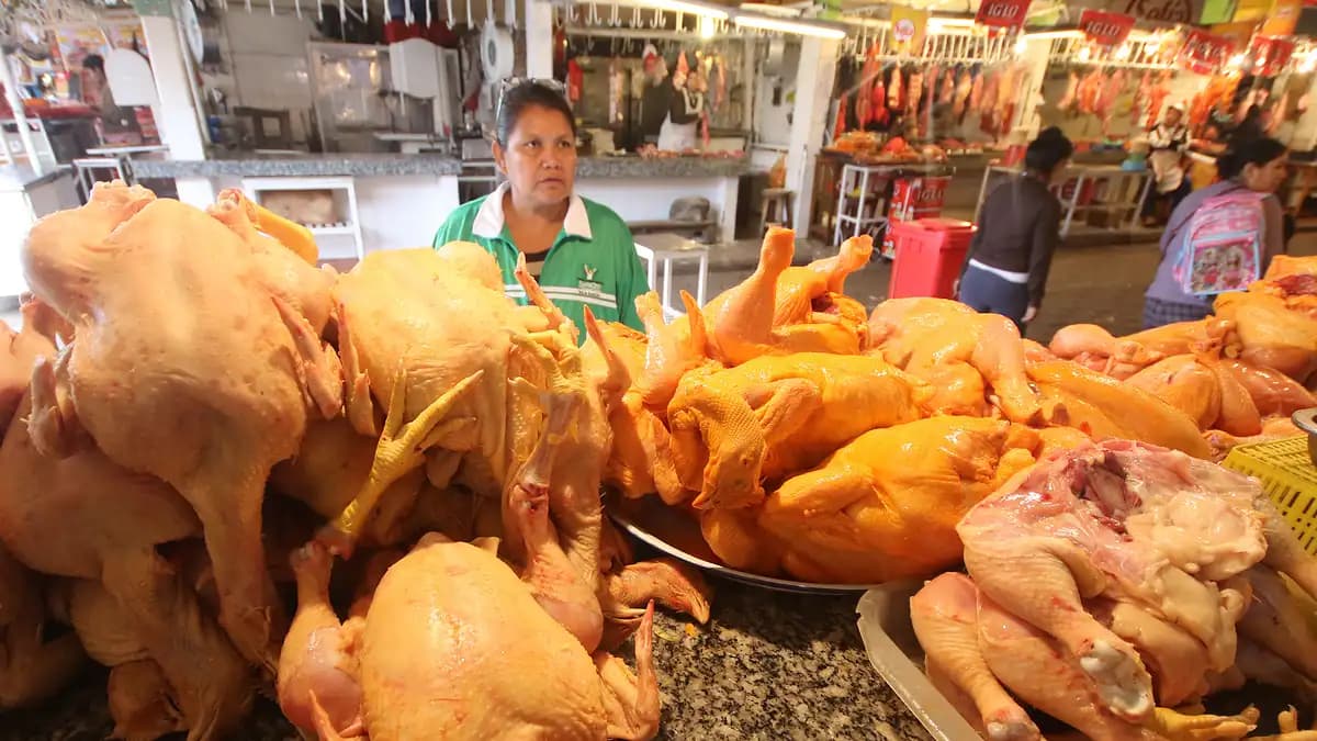 FALTA DE DIÉSEL FRENA ENVÍO DE POLLO Y GENERA BAJA DE PRECIOS EN SANTA CRUZ