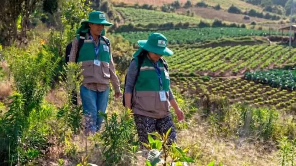 PAZ: EL CENSO AGROPECUARIO 2026 DEFINIRÁ EL NUEVO RUMBO PRODUCTIVO DE BOLIVIA