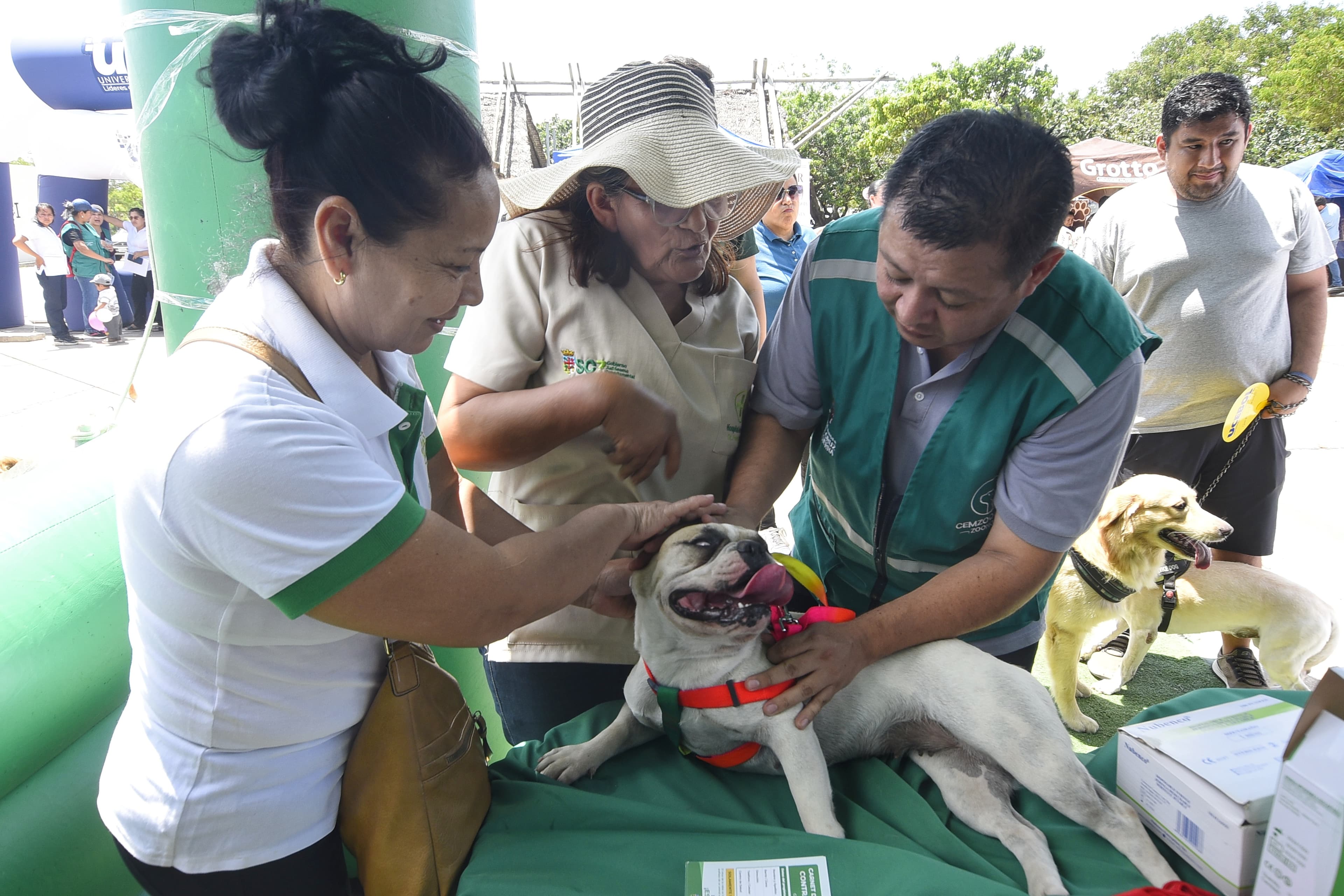 SANTA CRUZ DESPLIEGA MÁS DE 3.500 PERSONAS PARA VACUNAR A PERROS Y GATOS