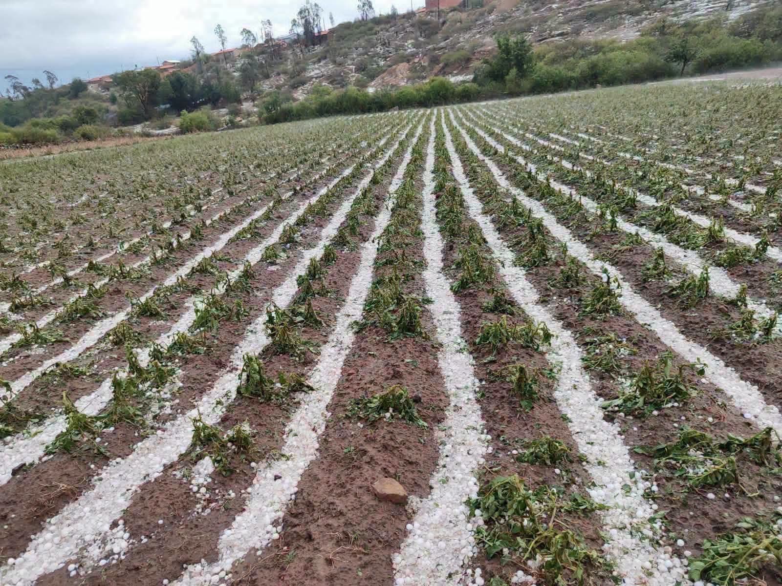 FUERTE GRANIZADA GOLPEA A CHUQUISACA Y PRODUCTORES TEMEN PÉRDIDAS EN SUS CULTIVOS