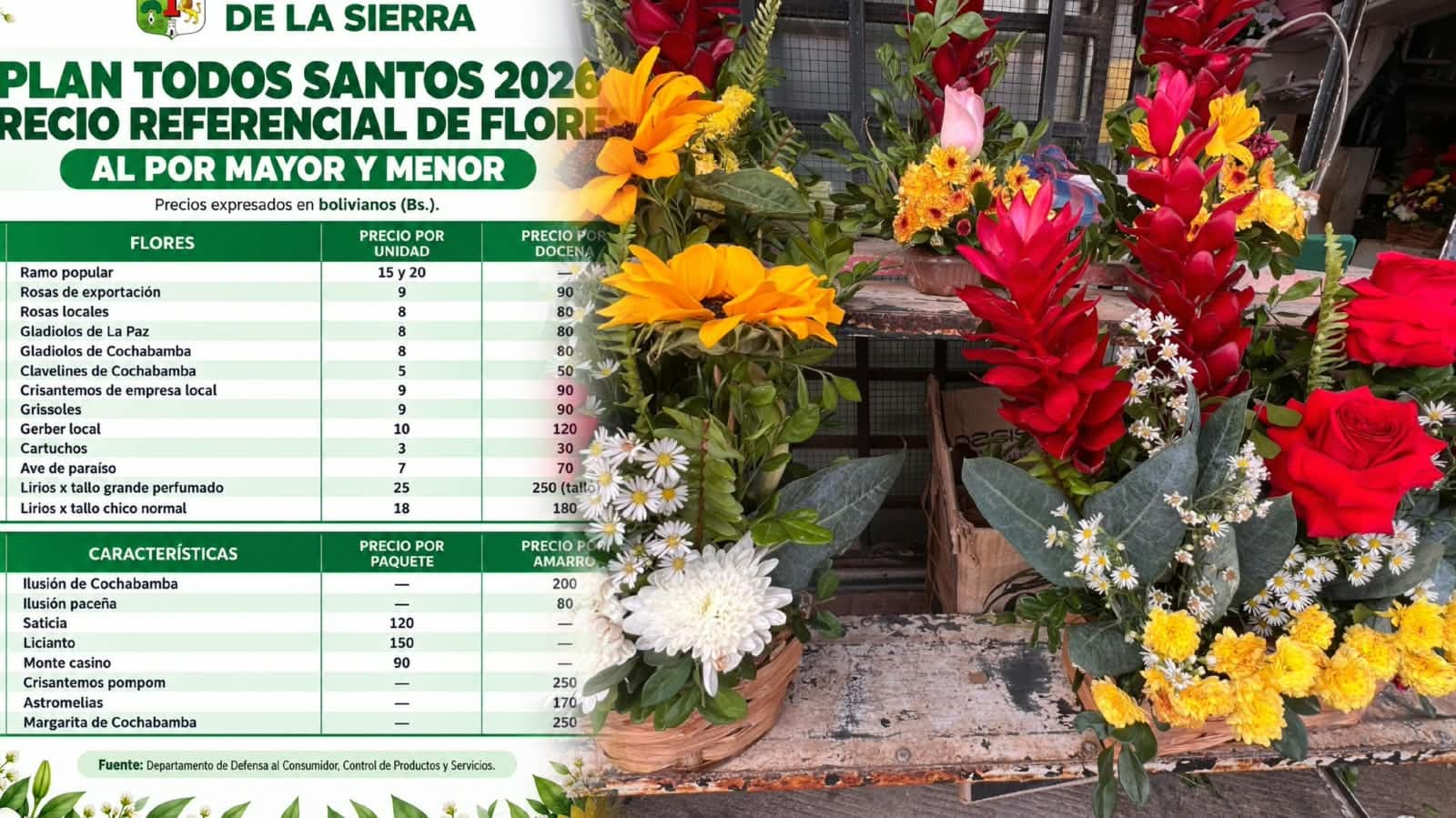 ALCALDÍA DIFUNDE LOS PRECIOS DE LAS FLORES PARA TODOS SANTOS EN SANTA CRUZ