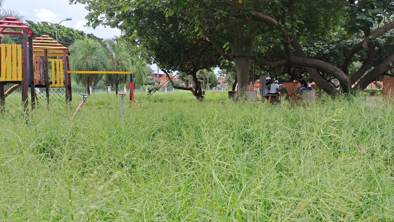 PARQUES URBANOS A PUNTO DE CONVERTIRSE EN “SELVAS”