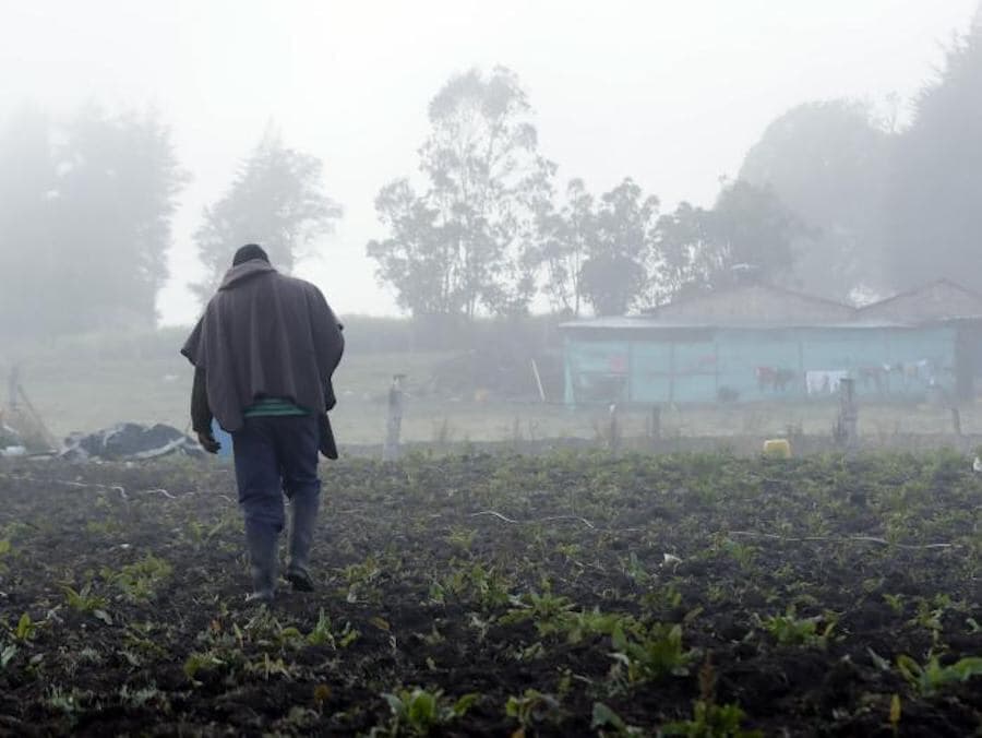 CUATRO DEPARTAMENTOS SUFREN IMPACTOS POR HELADAS Y SEQUÍAS