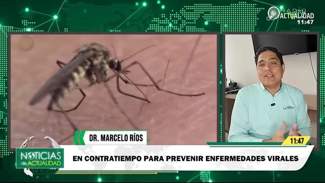 EXPERTO ADVIERTE SOBRE BROTES DE DENGUE ANTE FALTA DE PREVENCIÓN