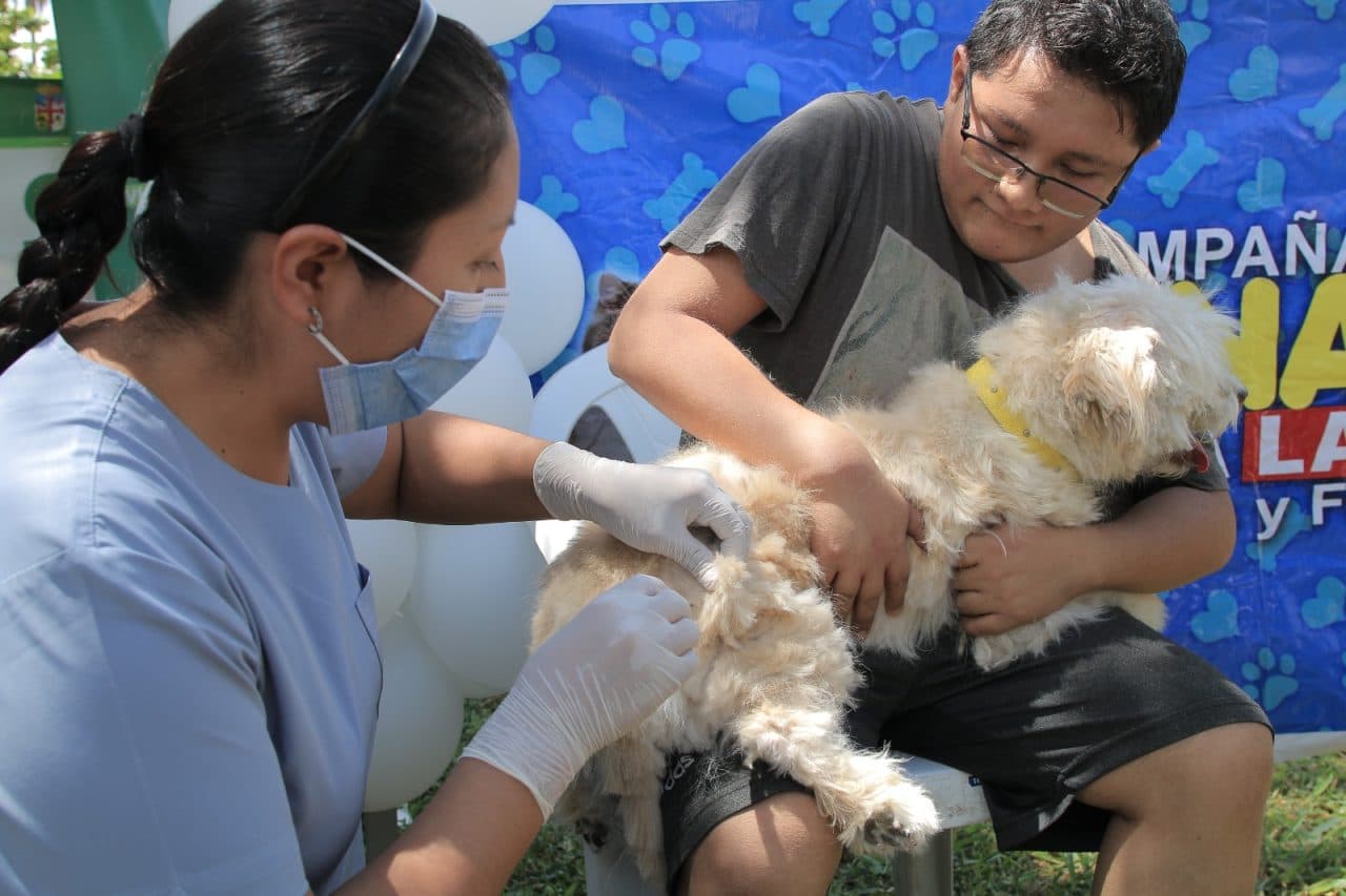 SEDES REALIZARÁ VACUNACIÓN MASIVA CONTRA LA RABIA CANINA ESTE FIN DE SEMANA