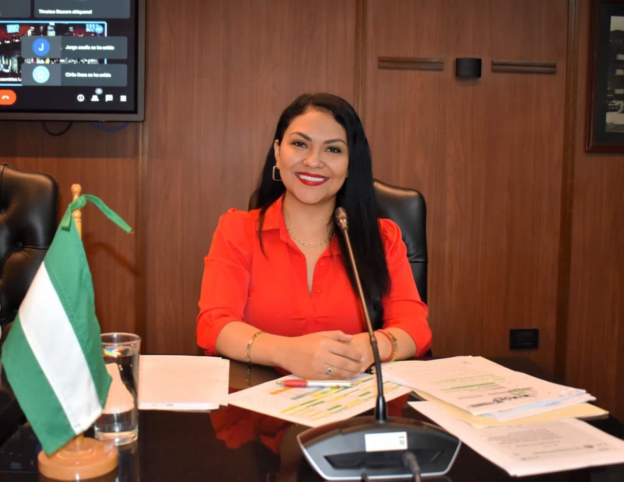 PRESIDENTA DEL TED SANTA CRUZ SE POSTULARÁ A VOCAL DEL TRIBUNAL SUPREMO ELECTORAL