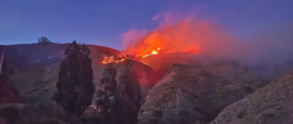 INCENDIO EN TOTORA ARRASA 70 HECTÁREAS Y PONEN EN EVALUACIÓN LA DECLARATORIA DE EMERGENCIA