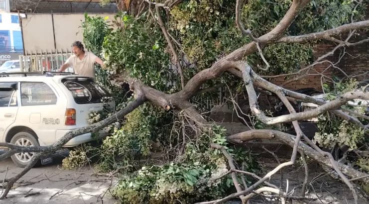 ALCALDÍA REPORTA 11 EMERGENCIAS ATENDIDAS POR VIENTOS EN SANTA CRUZ
