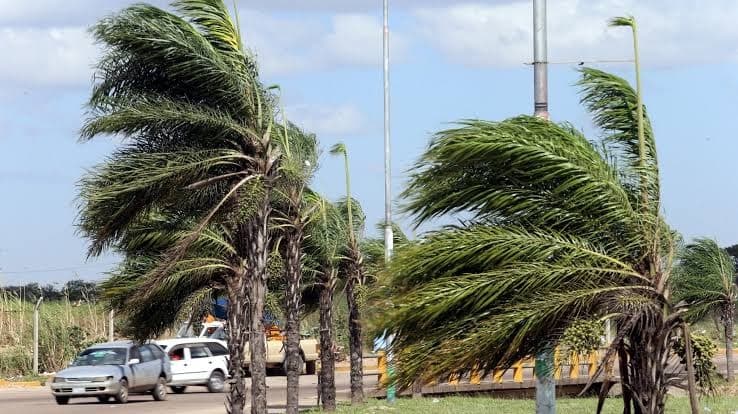 FUERTES VIENTOS DEJAN 24 EMERGENCIAS EN SANTA CRUZ Y ACTIVAN ALERTA ROJA MUNICIPAL
