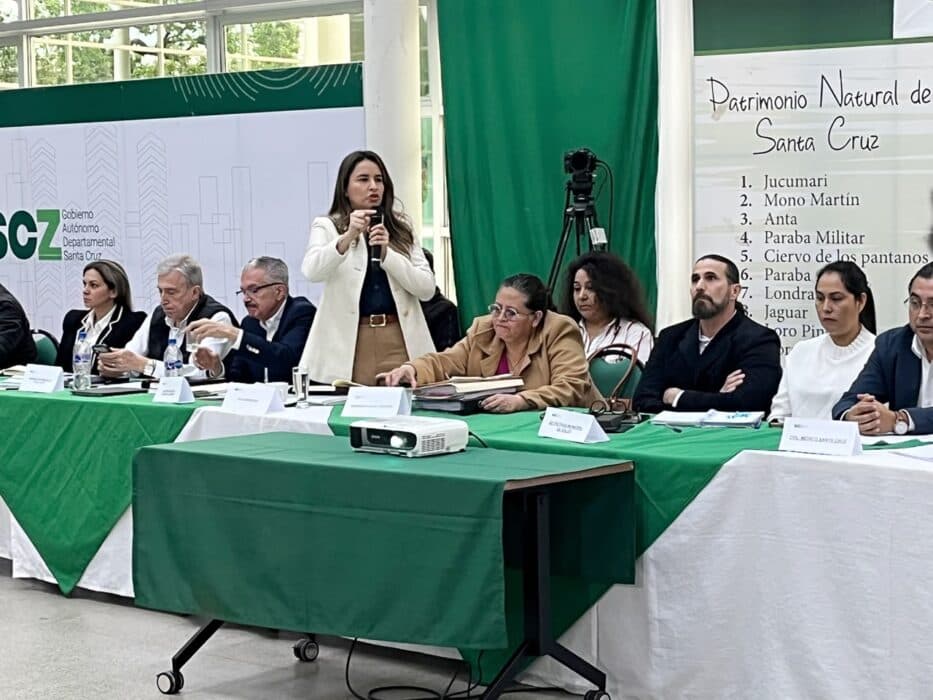 SANTA CRUZ EXIGE 690 ÍTEMS DE SALUD Y GOBIERNO EVALUARÁ AMPLIAR LA ASIGNACIÓN