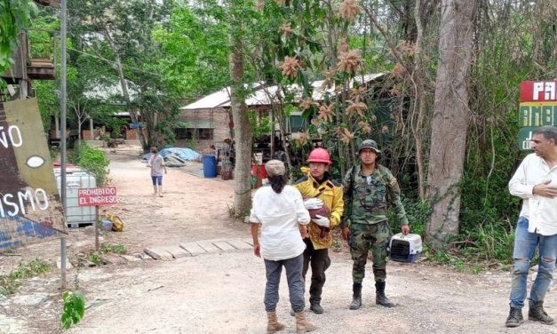 BOMBEROS RESCATAN CAPIBARA CON GRAVES QUEMADURAS DE LOS INCENDIOS EN GUARAYOS