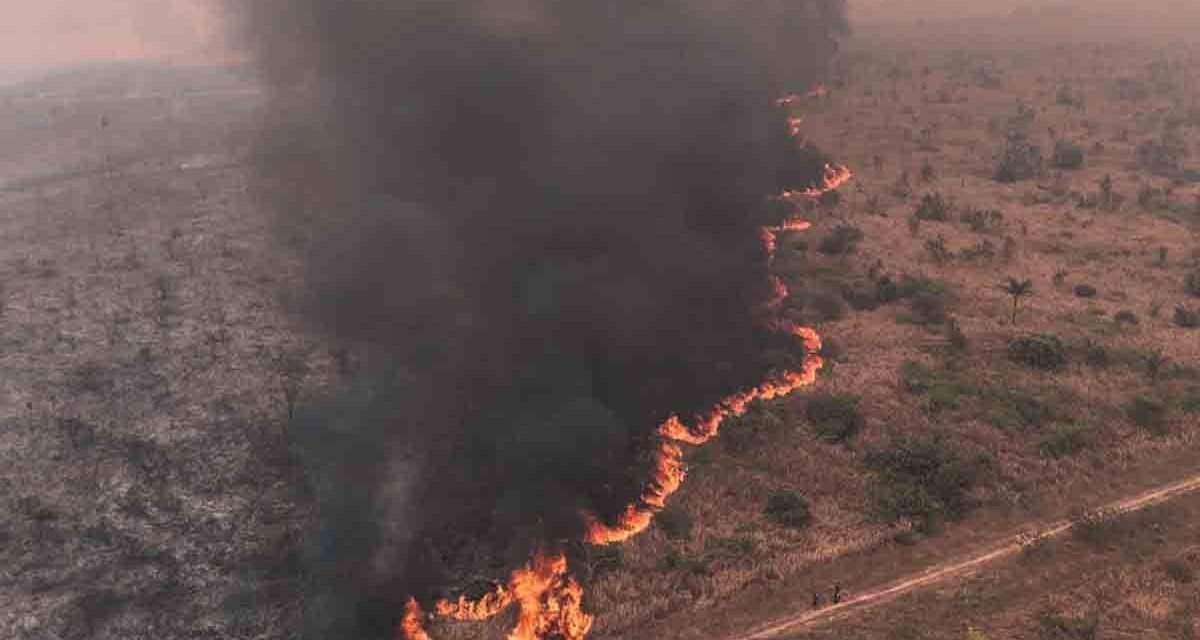 MÁS DE 10,1 MILLONES DE HECTÁREAS FUERON QUEMADAS BOLIVIA SEGÚN FUNDACIÓN TIERRA