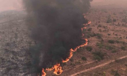 MÁS DE 10,1 MILLONES DE HECTÁREAS FUERON QUEMADAS BOLIVIA SEGÚN FUNDACIÓN TIERRA