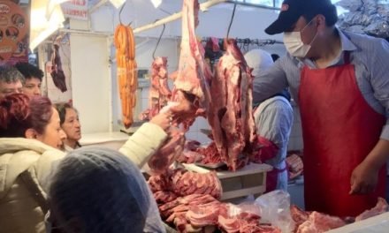 EL PRECIO DEL KILO GANCHO SIGUE CARO ASEGURAN CARNICEROS