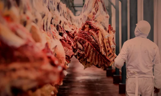 FEGASACRUZ SE DECLARA EN EMERGENCIA Y DICE QUE BUSCAN FRENAR LA EXPORTACIÓN DE CARNE
