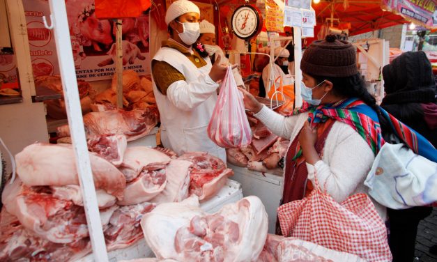 ABASTECIMIENTO DE POLLO Y CERDO ESTÁ ASEGURADO DICE EL GOBIERNO