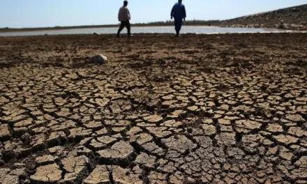 CHUQUISACA SE DECLARA EN EMERGENCIA POR SEQUÍA