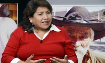 DINA CHUQUIMIA PRESENTA AMPARO CONTRA LUIS ARCE POR ACORTAR SU MANDATO COMO VOCAL DEL TSE