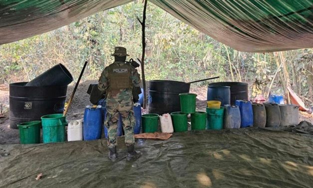 DESTRUYEN 12 FÁBRICAS DE COCAÍNA EN VILLA TUNARI