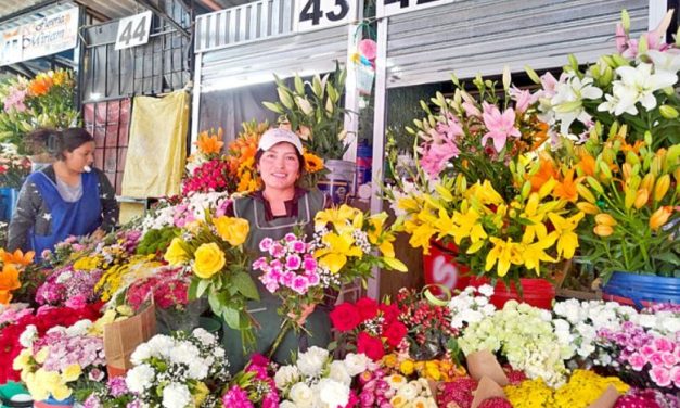 CONFLICTOS ENCARECEN PRECIOS DE FLORES EN LOS CEMENTERIOS