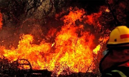 EL FUEGO NO DA TREGUA EN SANTA CRUZ Y SE REPORTAN HASTA EL MOMENTO 49 INCENDIOS ACTIVOS