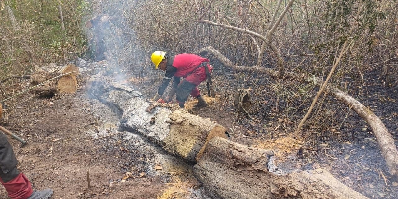 DISMINUYEN LOS INCENDIOS EN SANTA CRUZ