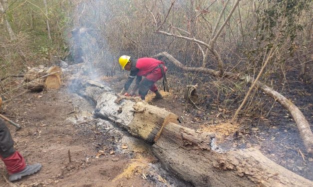DISMINUYEN LOS INCENDIOS EN SANTA CRUZ