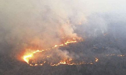 CASI EL 50% DE LOS INCENDIOS EN SANTA CRUZ SE REDUJERON CON AYUDA DE LA LLUVIA