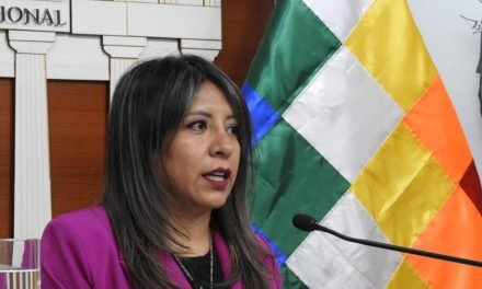 NADIA CRUZ RENUNCIA COMO VICEMINISTRA DE IGUALDAD DE OPORTUNIDADES
