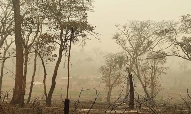 LA ABT HARÁ CUMPLIR LA PAUSA AMBIENTAL DICTADA POR GOBIERNO