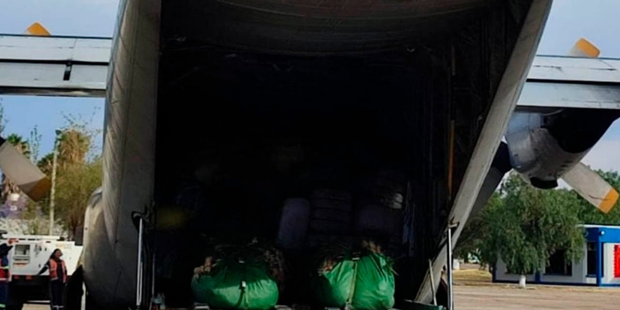 ACTIVAN PUENTE AÉREO PARA TRASLADO DE CARNES, FLORES Y OTROS PRODUCTOS