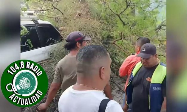 RAMA DE  CUPESÍ CAE EN EL PALACIO DE JUSTICIA POR FUERTES VIENTOS