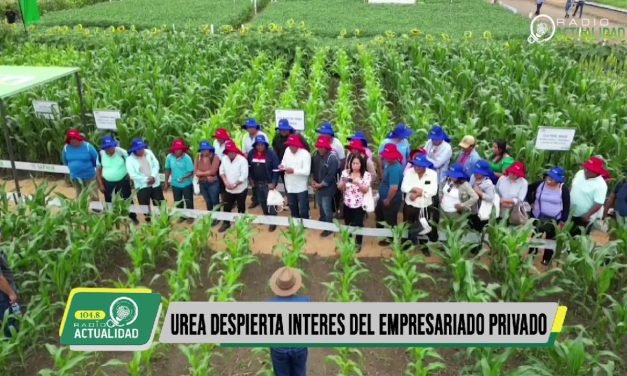 UREA DESPIERTA INTERÉS DEL EMPRESARIADO PRIVADO