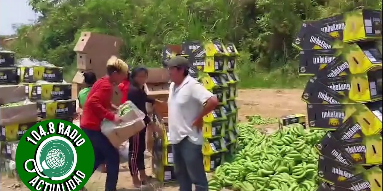 PRODUCTOR BANANERO LLORA DE IMPOTENCIA Y BOTA SU COSECHA A LA CARRETERA