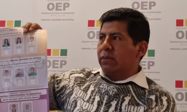 VOCAL REITERA ALERTA DE “ENORME RIESGO” DE PARALIZACIÓN DE LAS JUDICIALES POR UN AMPARO