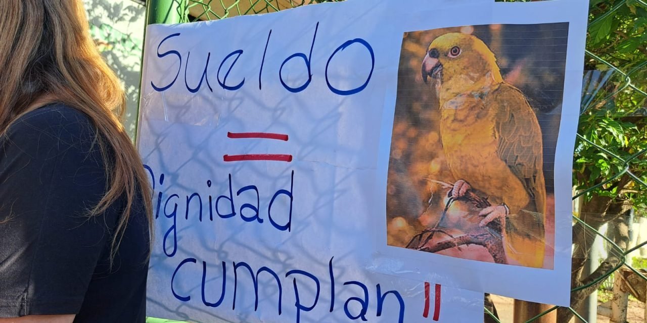 TRABAJADORES DE EMACRUZ EN HUELGA DE BRAZOS CAÍDOS POR SUELDOS ATRASADOS