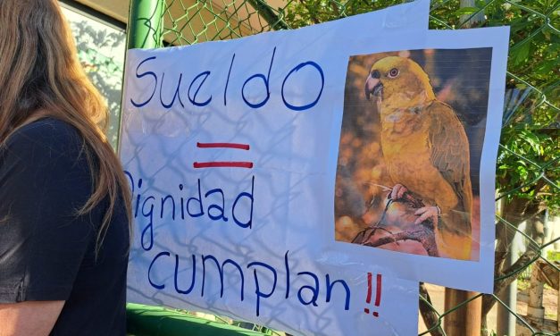 TRABAJADORES DE EMACRUZ EN HUELGA DE BRAZOS CAÍDOS POR SUELDOS ATRASADOS