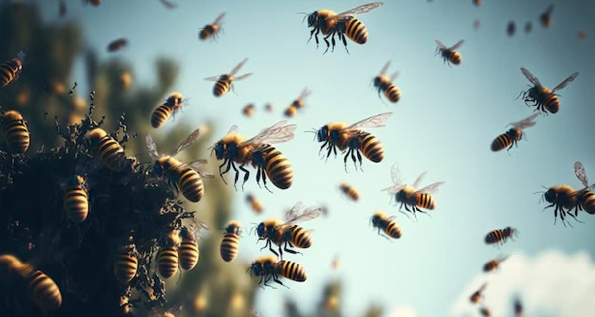 ENJAMBRE DE ABEJAS MATA ANIMALES Y GENERA PÁNICO EN UN BARRIO DE SANTA FE