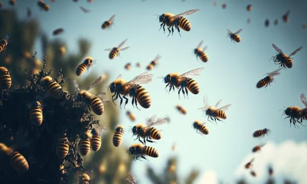 ENJAMBRE DE ABEJAS MATA ANIMALES Y GENERA PÁNICO EN UN BARRIO DE SANTA FE