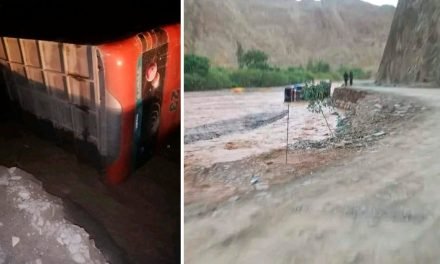 UN FALLECIDO Y 12 HERIDOS DEJA EL BUS QUE VOLCÓ EN LA RUTA TARIJA – VILLAZÓN