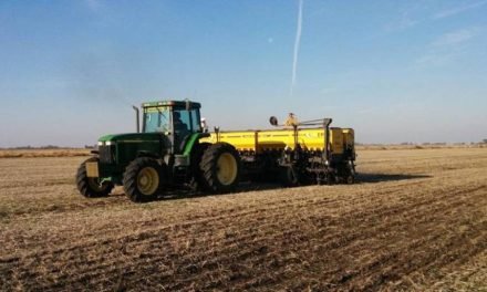 ANAPO ALERTA DE POSIBLES PÉRDIDAS EN COSECHA Y DISMINUCIÓN DE SIEMBRA