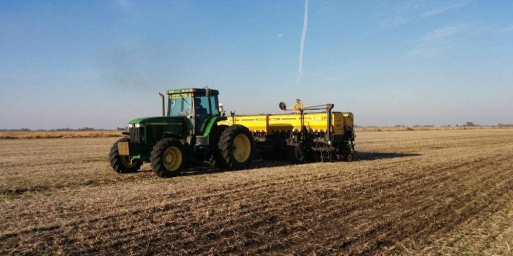 ANAPO ALERTA DE POSIBLES PÉRDIDAS EN COSECHA Y DISMINUCIÓN DE SIEMBRA